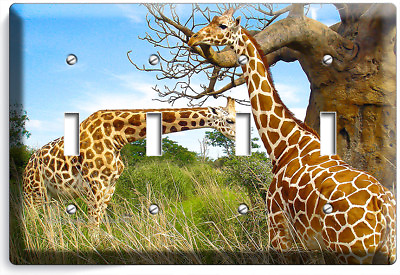 #ad AFRICAN GIRAFFE LOVE ANIMALS 4 GANG LIGHT SWITCH WALL PLATE COVER ROOM ART DECOR