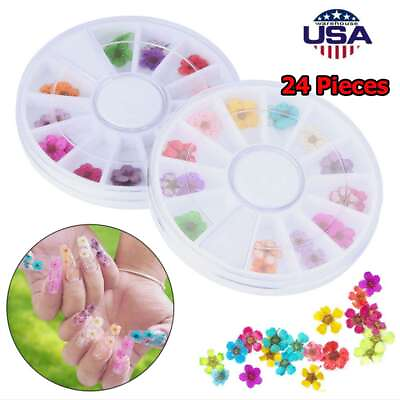 #ad 24Pcs 3D Real Dried Flower Decoration for UV Gel Acrylic DIY Nail Art Tips USA $6.00