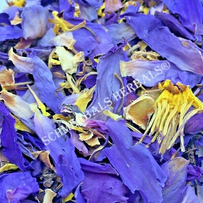 #ad 1 oz All Natural Blue Lotus N. caerulea Deep Purple Thai™ Schmerbals Herbals