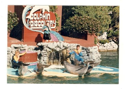 #ad Vintage 1987 Photo DOLPHIN DISCOVERY SHOW Sea World San Diego 1980#x27;s R156 G