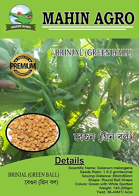 #ad Green Ball Bangladeshi eggplant Brinjal 1 gram seeds