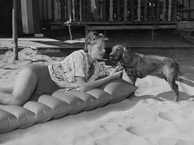 #ad Swedish Actress Ingrid Bergman Shakes Hands With A Wet Spaniel Dog Old Photo