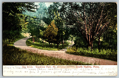 #ad South Hadley Massachusett Drive Goodnow Park Mt. Holyoke Vintage Postcard