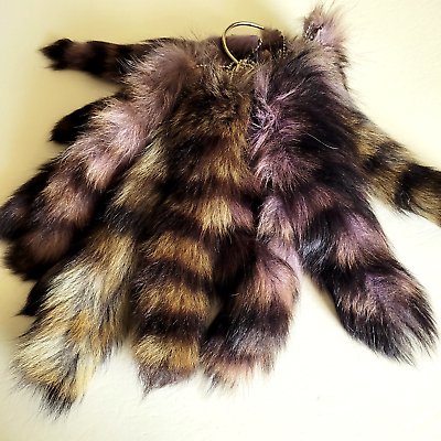 #ad 1 Raccoon Tail Keychain Coon Tails Dyed Real Genuine Large On Chain 10 16 Inch