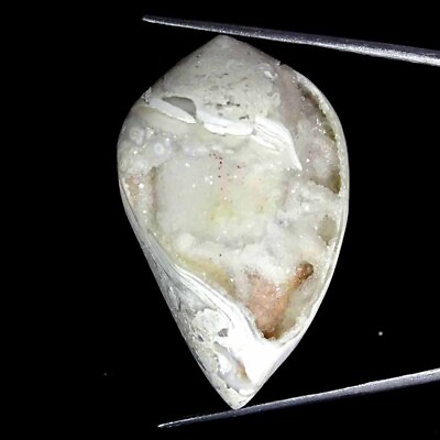#ad 114.40Cts Fossil Snail Druzy Agate Natural Loose Gemstone 27x44x20mm