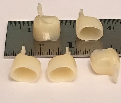 #ad Dental Polycarbonate Temporary Crowns 5 pcs #51 $3.95