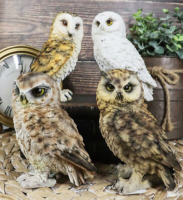 #ad Realistic Colorful Nocturnal Snowy Barn Great Horned Owl Birds Figurine Set of 4