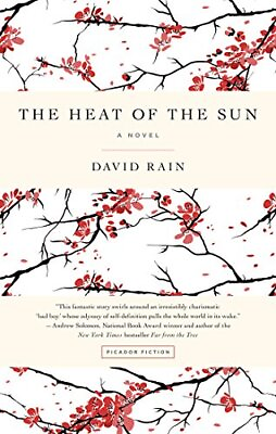 #ad THE HEAT OF THE SUN: A NOVEL By David Rain **Mint Condition** $29.75