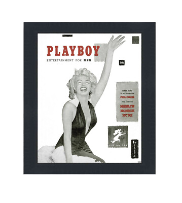 #ad Playboy Magazine Modern Picture Frame ? Fits Magazines Measuring 8 ?? x 10 7 8?