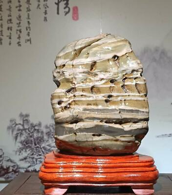 #ad China Natural stone Mountain stones Bonsai Suiseki nine dragons wall stone 12104