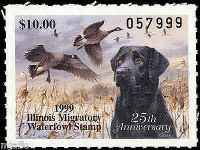 #ad ILLINOIS #25 1999 STATE DUCK STAMP BLACK LAB CANADA GEESE by Jim Killen