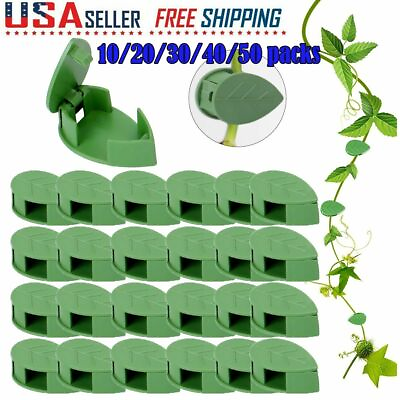 #ad 10 50pcs Plant Fixture Clip Plant Climbing Wall Self Adhesive Fastener Tied Tool