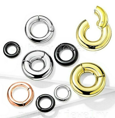 #ad Large Gauge Hinged Clicker Segment Ring PVD Surgical Steel Earring Septum Ring
