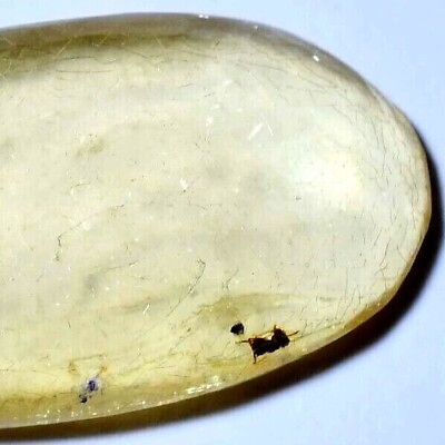 #ad 100% Natural Tanzania Yellow Amber 11.60 CT Untreated Certified Small Insect Gem