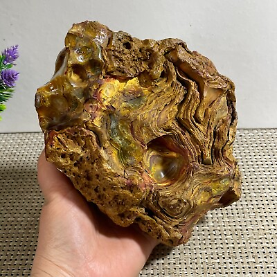 #ad natural Bonsai Suiseki Natural Gobi Agate Eyes Stone Rare Stunning Viewing 1410g