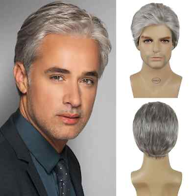 #ad Man Gray Short Hair Synthetic Wig Young Natural Party Cosplay Hairstyle Toupee