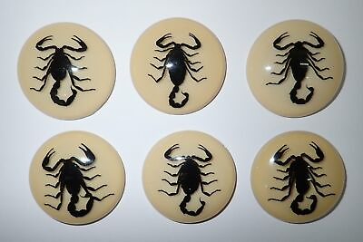 #ad Insect Cabochon Black Scorpion Round 38 mm Amber White Bottom 10 pieces Lot