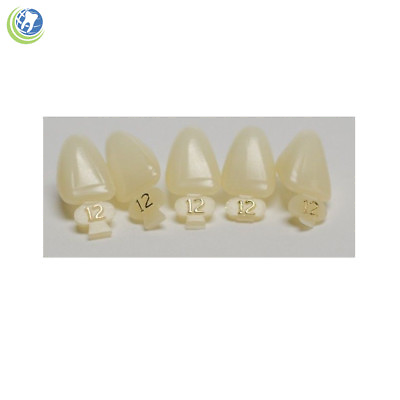 #ad DENTAL POLYCARBONATE TEMPORARY CROWNS #12 URC UPPER RIGHT CENTRAL 5 PACK