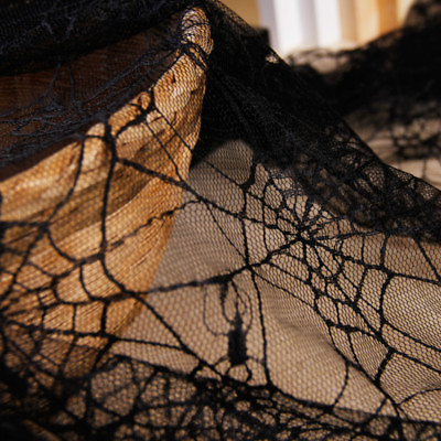 #ad DIY Tulle Spider Web Net Fabric Mesh Lace Dressmaking Halloween Costume Sewing
