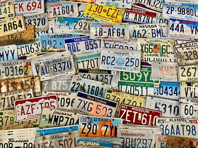 #ad Bulk Lot of 100 Roadkill Condition License Plates From At Least 30 States