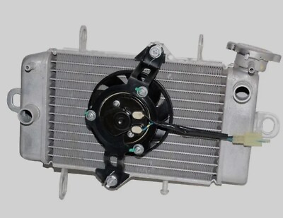 #ad Fits Yamaha YZF R15 Version 1 V1 models NOS Radiator Assembly With Fan