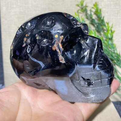#ad Natural Quartz Crystal Black Agate Skull