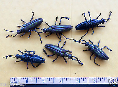 #ad Six 6 Rubberized SPECIAL BEETLES Insects Nice UNIQUE RARE amp; REALISTIC L@@K