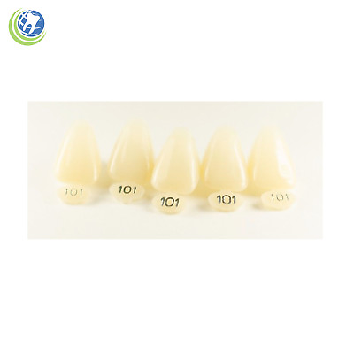 #ad DENTAL POLYCARBONATE TEMPORARY CROWNS #101 URC UPPER RIGHT CENTRAL 5 PACK