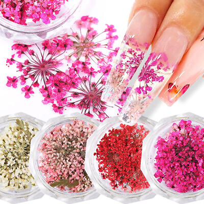 #ad Dried Flower 3D Nail Art Decoration Natural Floral Dry Flowers Nail Tips Decal♡ $1.76