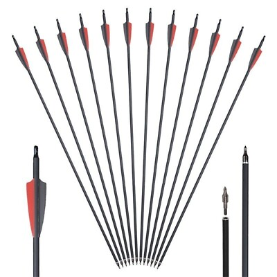 #ad 20 pcs 31quot; Fiberglass Arrows Hunting Archery Target Arrows Recurve Bow Longbow