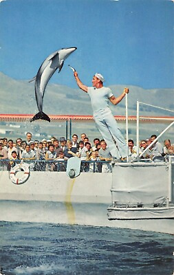 #ad Palos Verdes CA Jumping Porpoise Marineland of the Pacific Vintage Postcard