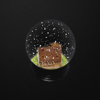 #ad EMINEM MMLP2 HOUSE SNOW GLOBE PREORDER Limited Edition Confirmed Order