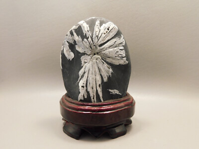 #ad Chrysanthemum Stone in Wood Base Natural Rock #O6 $80.00