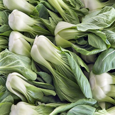 #ad Bok Choy Cabbage Seeds Heirloom Non GMO Fresh Garden Seeds