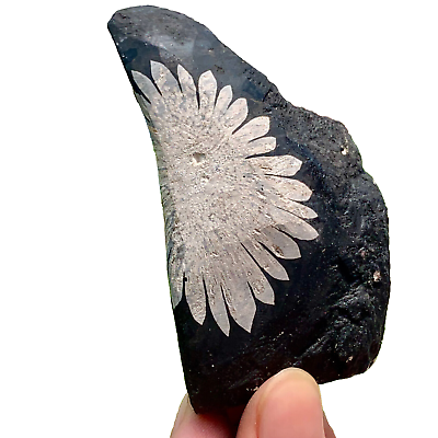 #ad 156g Natural chrysanthemum stone quartz carving aura mineral healing gift $48.56