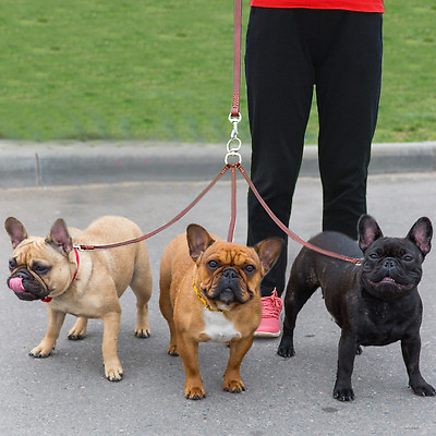 #ad Genuine Leather 3 Way Triple Dog Leash Walking Leads Heavy Duty with Soft Handle