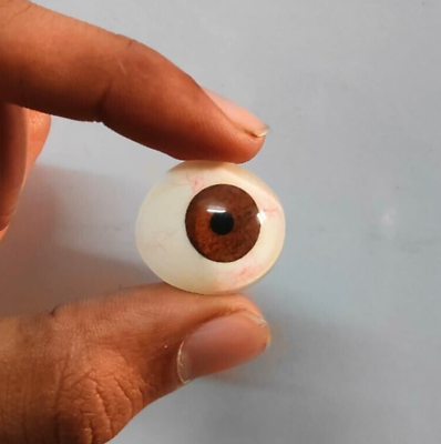 #ad Ocular Prosthesis Set Of 10 Eye Brown Prosthesis Made Of Acrylic Assorted Size $29.90