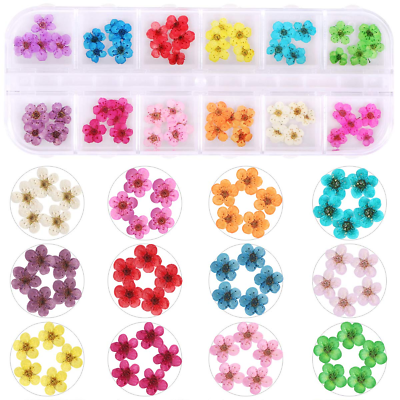 #ad 1 Box Dried Flowers for Nail Art 12 Colors Dry Flowers Mini Real Natural Flowe $16.86