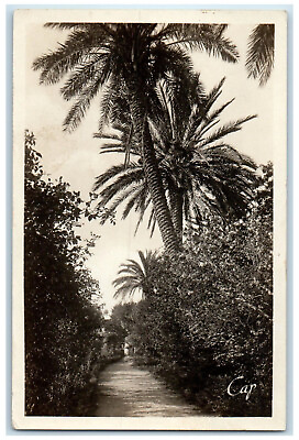 #ad c1930#x27;s Bizot Garden Alley Of Roses Algeria Unposted RPPC Photo Postcard