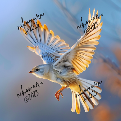 #ad Digital Image Picture Bird Photo Wallpaper Background Desktop Art