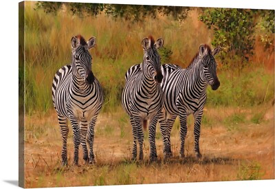 #ad Three Zebras Namibia Canvas Wall Art Print Zebra Home Decor
