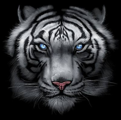 #ad Majestic White Tiger T Shirt Piercing Blue Eyes Small 5X