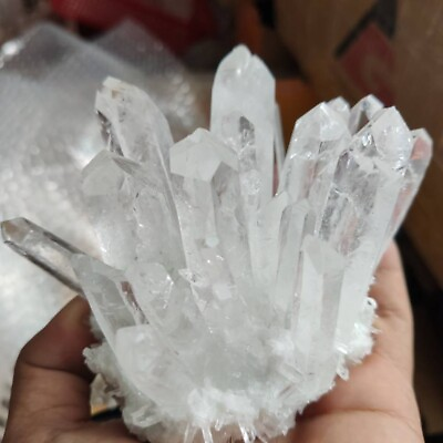 #ad 150g Natural White Clear Quartz Chakra Reiki Crystal Cluster Gemstone Specimen