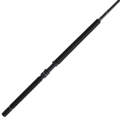 #ad Penn Carnage III Offshore Conventional Rod Fuji SIN HB Guides Select Size $259.95
