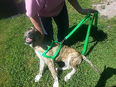 #ad Two Handle Dog Leash Choice of Color USA MADE 4#x27; 6#x27; 10#x27; Training or Control