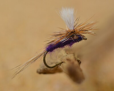 #ad 12 Flies Purple Haze Dry Fly Mustad Signature Fly Fishing Hooks