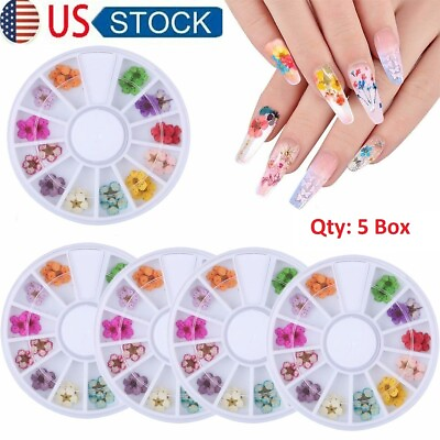#ad 🔥5 Boxes Colors Real Dried Flowers 3D Nail Art Decors Design DIY Tips Manicure