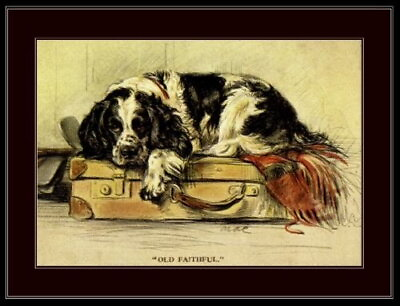 #ad 93722 Picture English Springer Spaniel Puppy Dog Dogs Decor Wall Print Poster