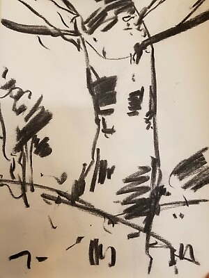 #ad JOSE TRUJILLO Original Charcoal Paper Sketch Drawing 12quot; American Nature Tree