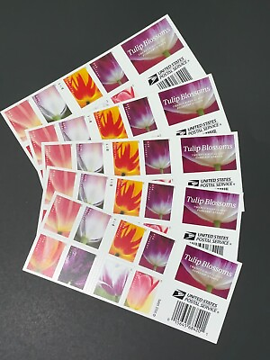 #ad SEALED 2023 Tulip Blossoms US Postage Forever 100 Count Stamps 5 Sheets of 20